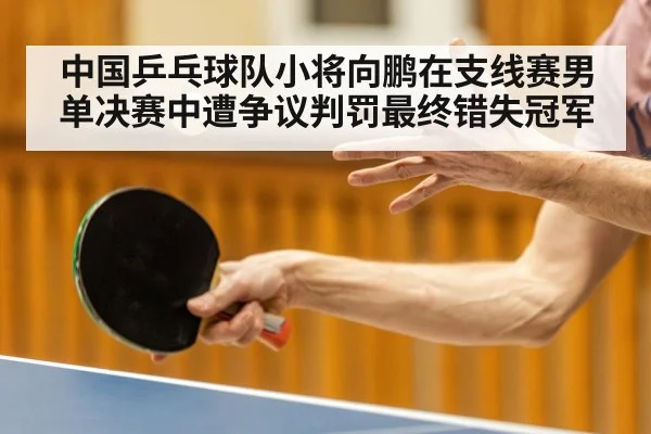 中国乒乓球队小将向鹏在支线赛男单决赛中遭争议判罚最终错失冠军